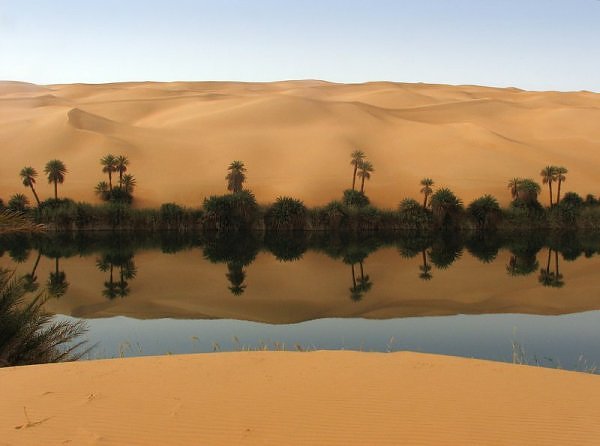 Oazė Saharoje