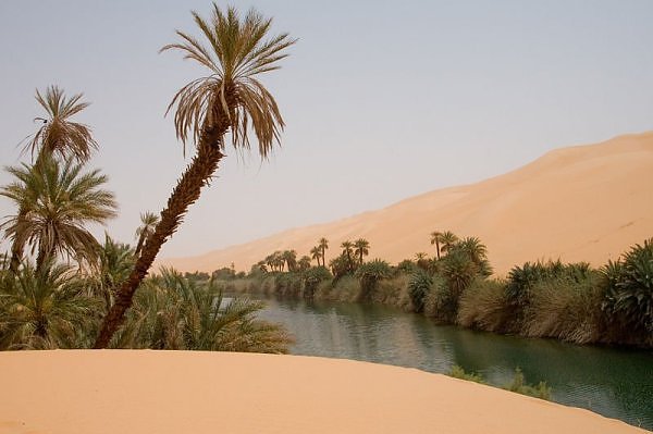 Oazė Saharoje