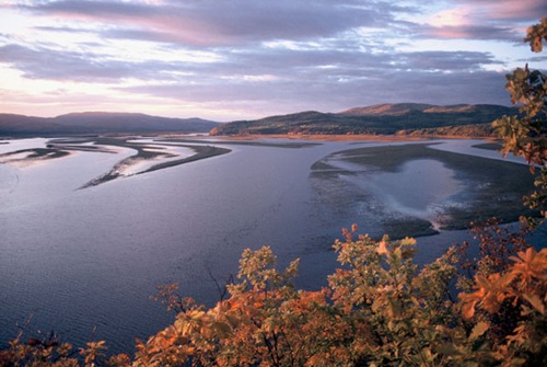 Gore River delta in the Komsomolsky Zapodevnik (Nature Reserve). Amur floodplain. Far East. Russian Federation   Ecoregion 181